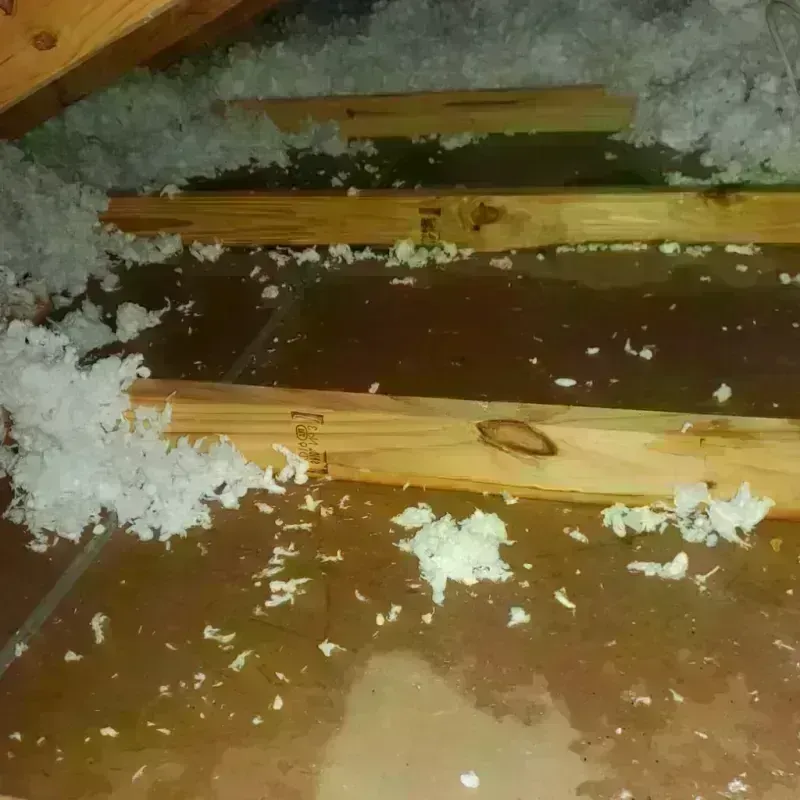 Attic Water Damage in Jefferson City, TN