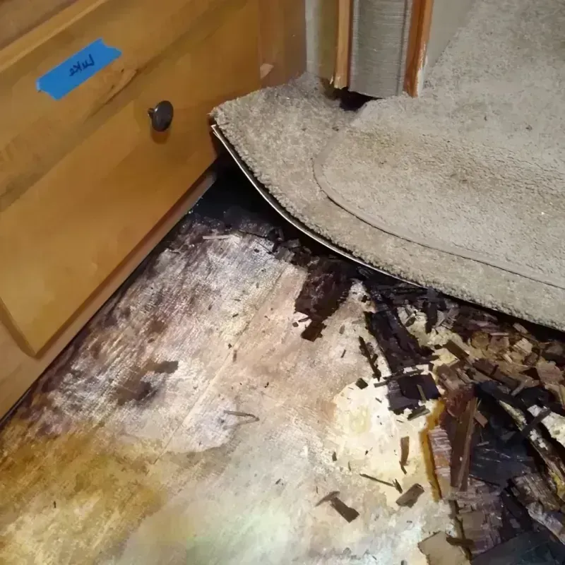 Wood Floor Water Damage in Jefferson City, TN